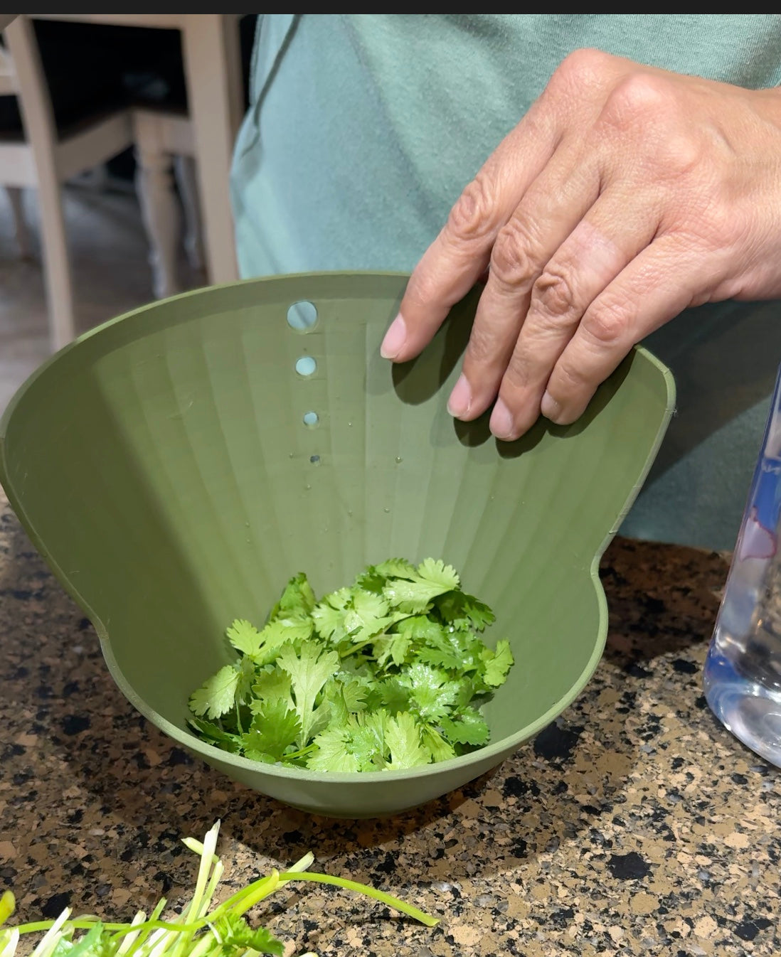 Herb Leaf Remover/Stripper