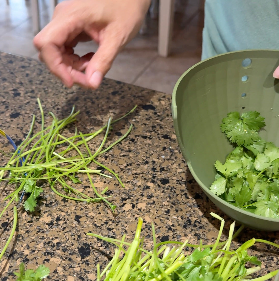 Herb Leaf Remover/Stripper
